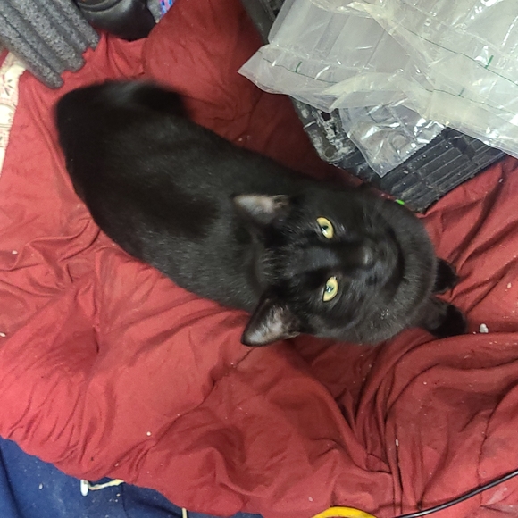 Prices and reasonable offers chart - Picture 8 of 8